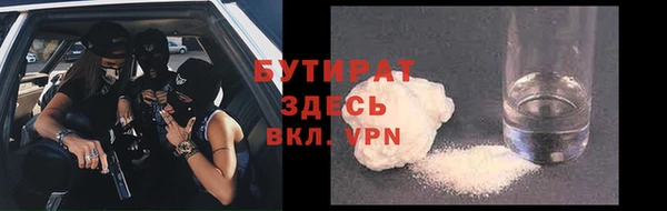 гидра Надым